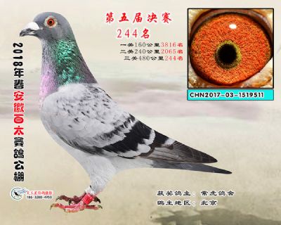 安徽百太决赛244名