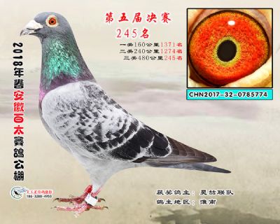 安徽百太决赛245名