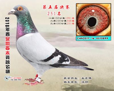 安徽百太决赛251名