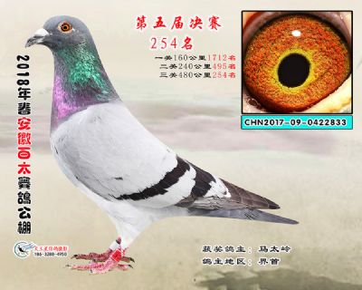 安徽百太决赛254名