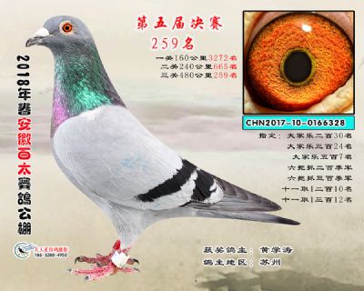 安徽百太决赛259名