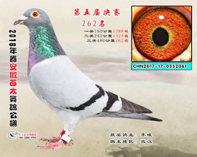 安徽百太决赛262名