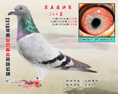 安徽百太决赛264名