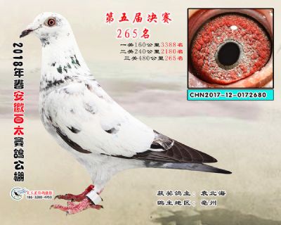 安徽百太决赛265名