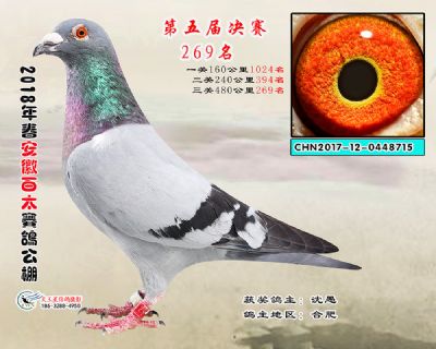 安徽百太决赛269名