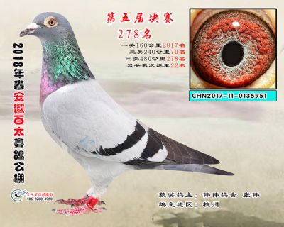 安徽百太决赛278名