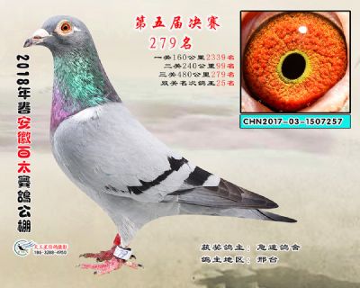安徽百太决赛279名