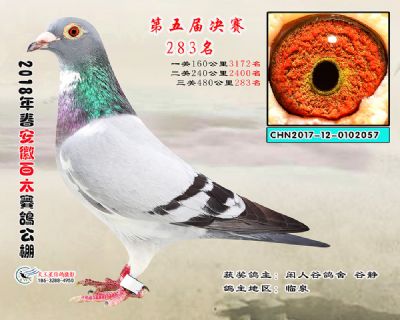 安徽百太决赛283名