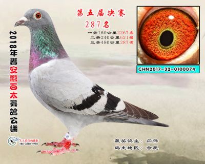 安徽百太决赛287名