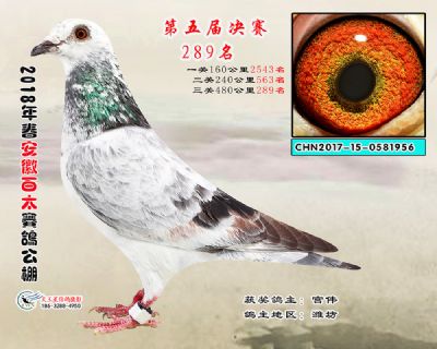 安徽百太决赛289名