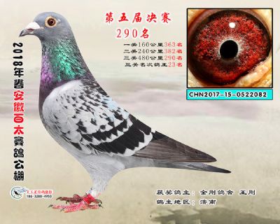 安徽百太决赛290名