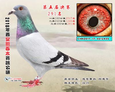安徽百太决赛291名