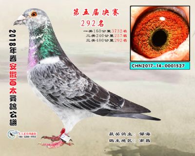 安徽百太决赛292名