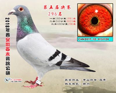 安徽百太决赛296名