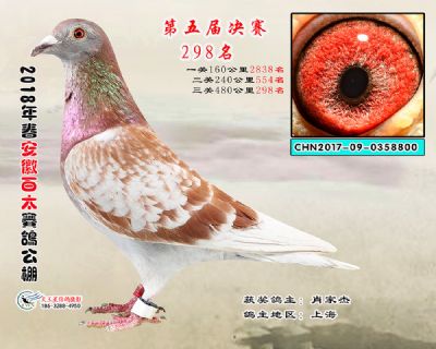 安徽百太决赛298名
