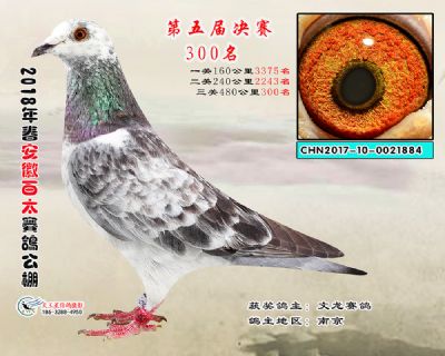 安徽百太决赛300名