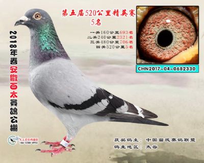 安徽百太加站赛5名