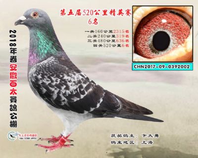 安徽百太加站赛6名