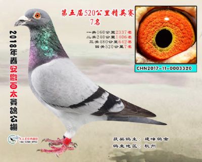 安徽百太加站赛7名