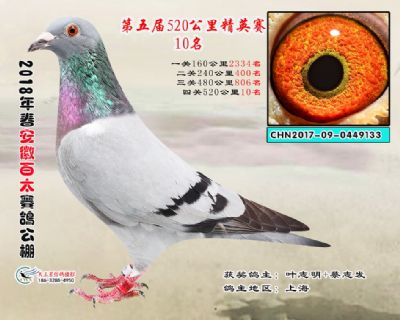 安徽百太加站赛10名