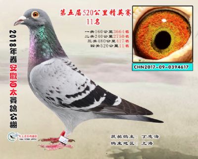 安徽百太加站赛11名