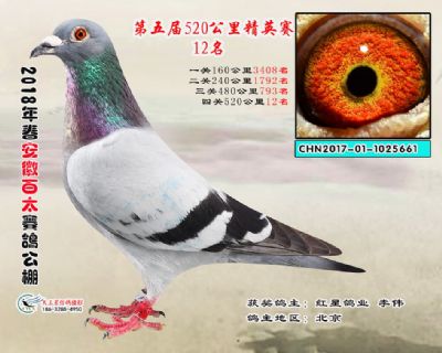 安徽百太加站赛12名