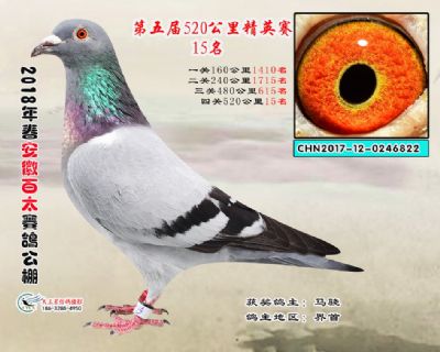 安徽百太加站赛15名