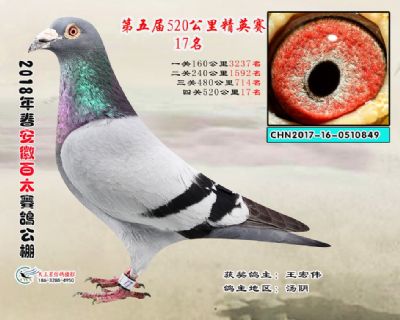 安徽百太加站赛17名