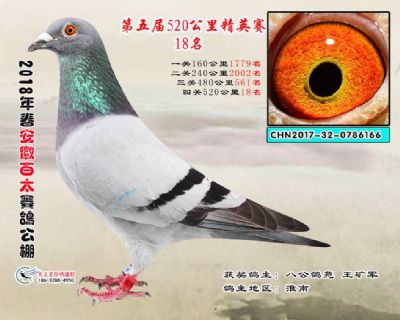 安徽百太加站赛18名