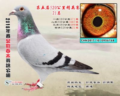 安徽百太加站赛21名