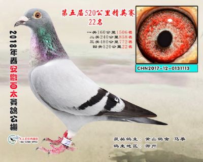安徽百太加站赛22名