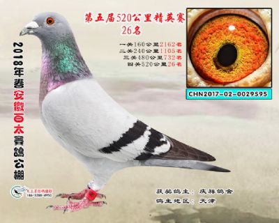 安徽百太加站赛26名