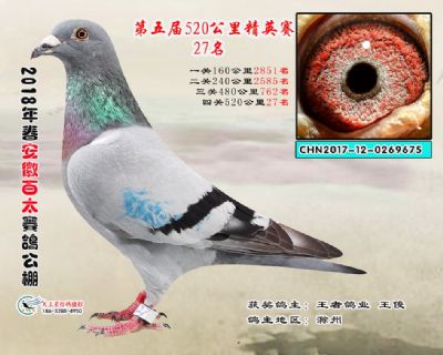 安徽百太加站赛27名
