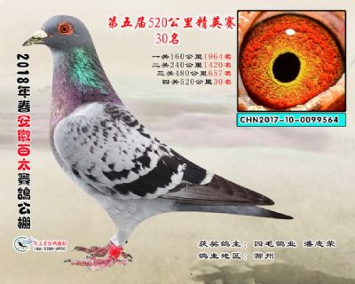 安徽百太加站赛30名