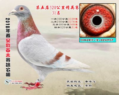 安徽百太加站赛31名