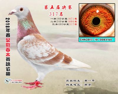 安徽百太决赛317名