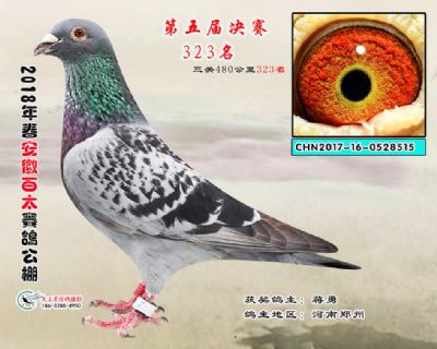 安徽百太决赛323名