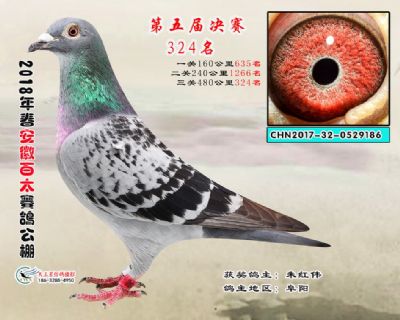 安徽百太决赛324名
