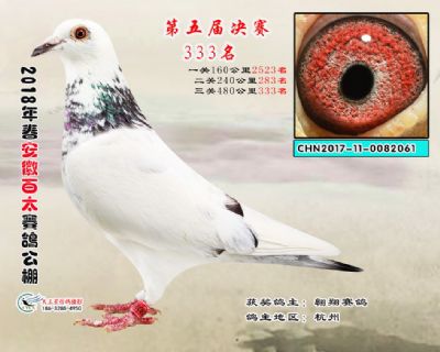 安徽百太决赛333名