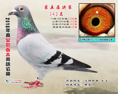 安徽百太决赛342名