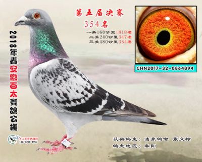 安徽百太决赛354名