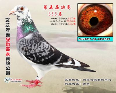 安徽百太决赛355名