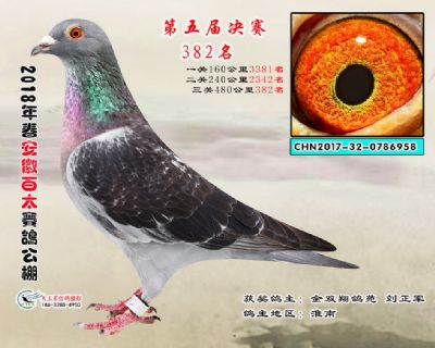 安徽百太决赛382名