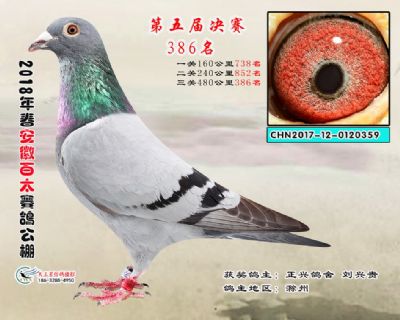 安徽百太决赛386名
