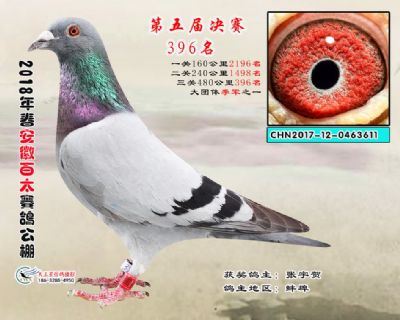 安徽百太决赛396名