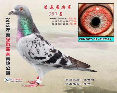 安徽百太决赛397名