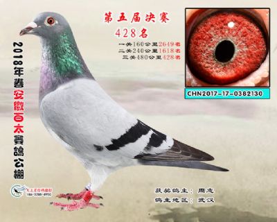 安徽百太决赛428名