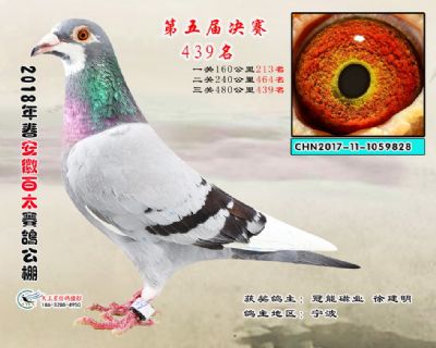 安徽百太决赛439名