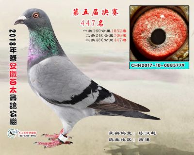 安徽百太决赛447名
