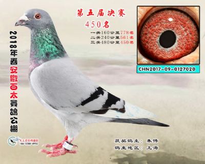 安徽百太决赛450名